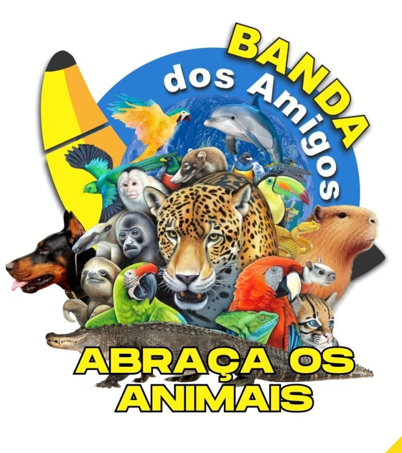 Rio de Janeiro Carnaval de Rua 2026 : Banda dos Amigos do Rio