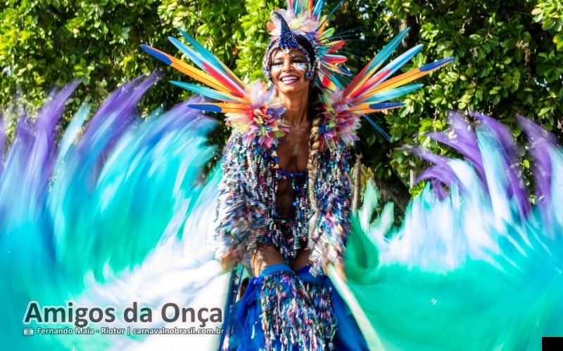 Foto bloco Amigos da Onça no Carnaval de Rua 2026 do Rio de Janeiro - carnavalnobrasil.com.br