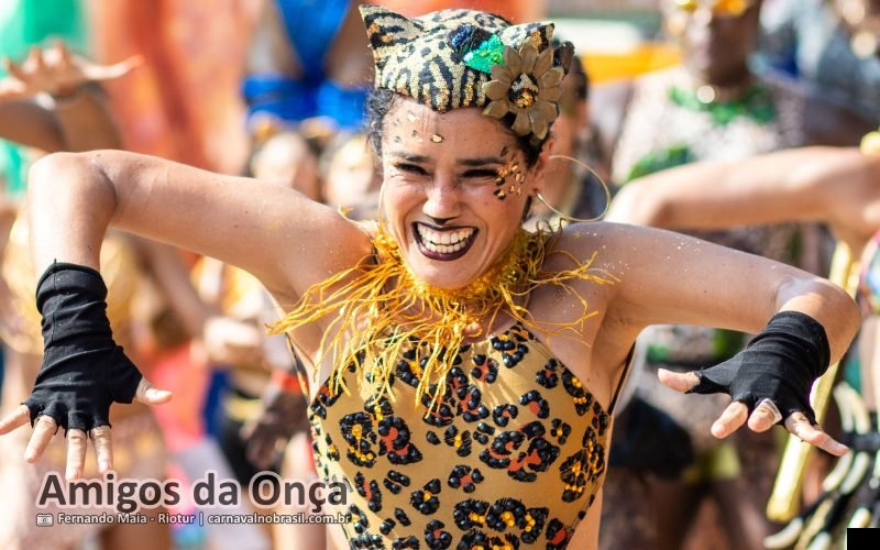Foto bloco Amigos da Onça no Carnaval de Rua 2026 do Rio de Janeiro - carnavalnobrasil.com.br