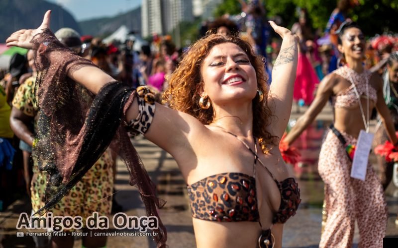 Foto bloco Amigos da Onça no Carnaval de Rua 2026 do Rio de Janeiro - carnavalnobrasil.com.br