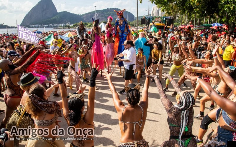 Foto bloco Amigos da Onça no Carnaval de Rua 2026 do Rio de Janeiro - carnavalnobrasil.com.br