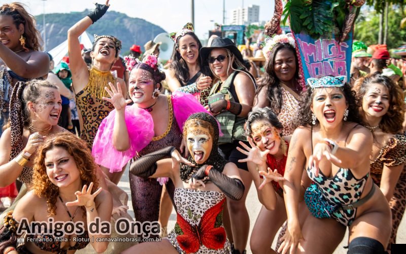 Foto bloco Amigos da Onça no Carnaval de Rua 2026 do Rio de Janeiro - carnavalnobrasil.com.br