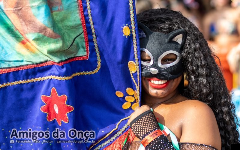 Foto bloco Amigos da Onça no Carnaval de Rua 2026 do Rio de Janeiro - carnavalnobrasil.com.br