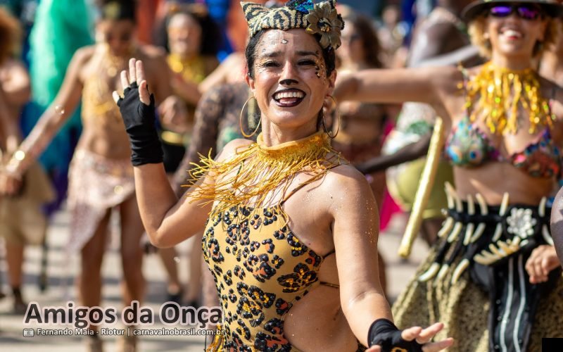 Foto bloco Amigos da Onça no Carnaval de Rua 2026 do Rio de Janeiro - carnavalnobrasil.com.br