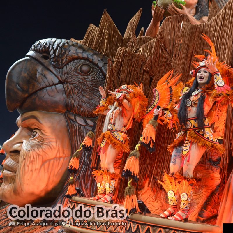 Desfile da Colorado do Brás no Carnaval 2026 de São Paulo