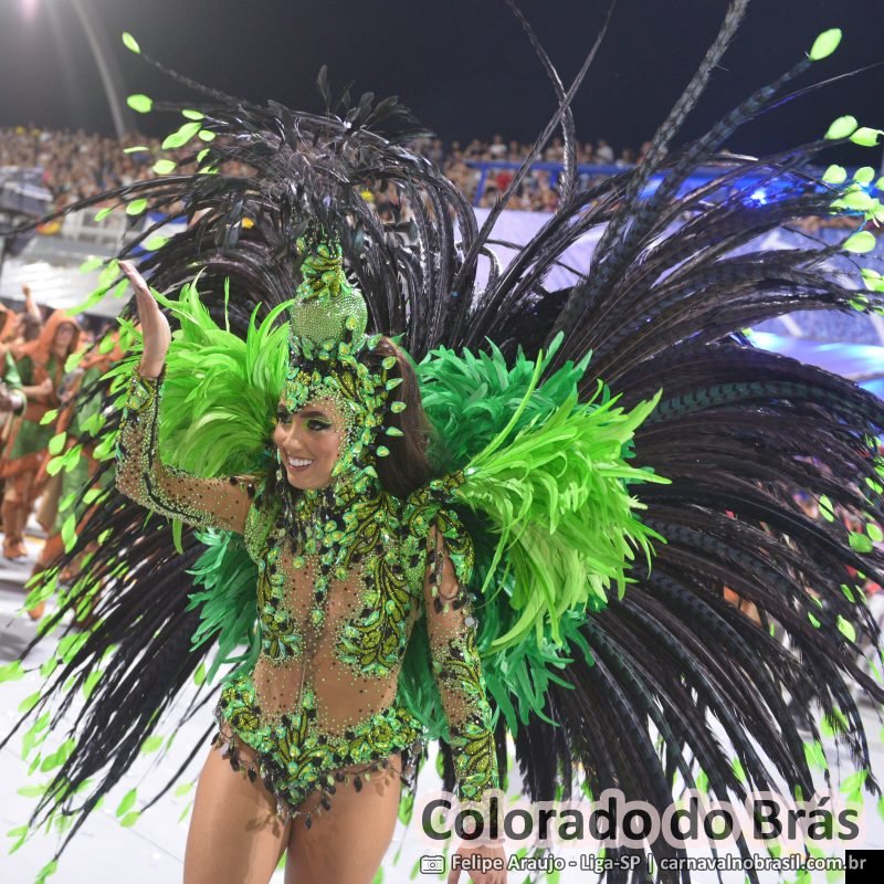 Desfile da Colorado do Brás no Carnaval 2026 de São Paulo
