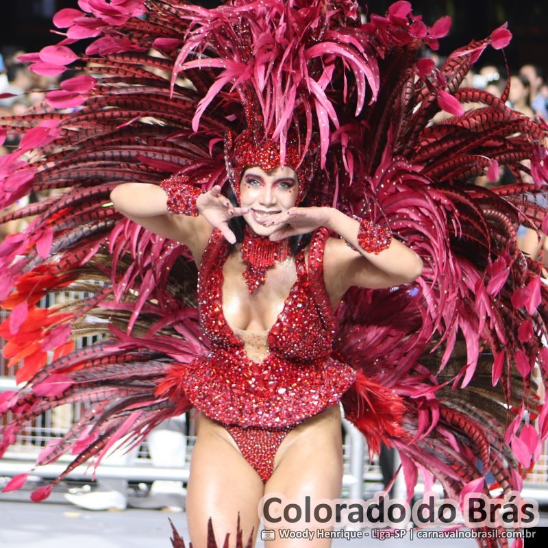 Desfile da Colorado do Brás no Carnaval 2026 de São Paulo