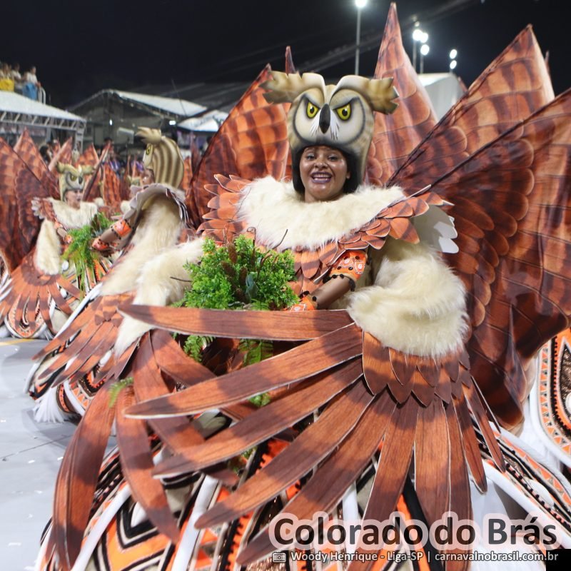 Desfile da Colorado do Brás no Carnaval 2026 de São Paulo