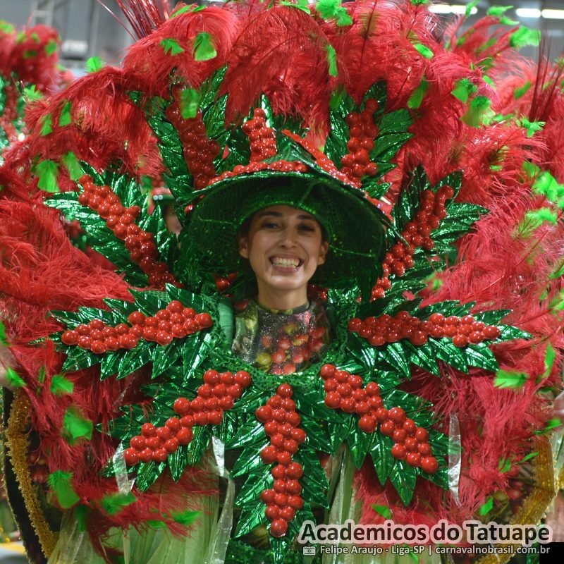 desfile da Acadêmicos do Tatuapé no Carnaval 2026 de São Paulo