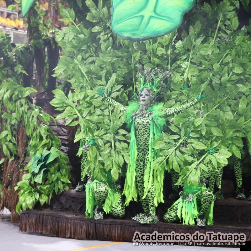 desfile da Acadêmicos do Tatuapé no Carnaval 2026 de São Paulo