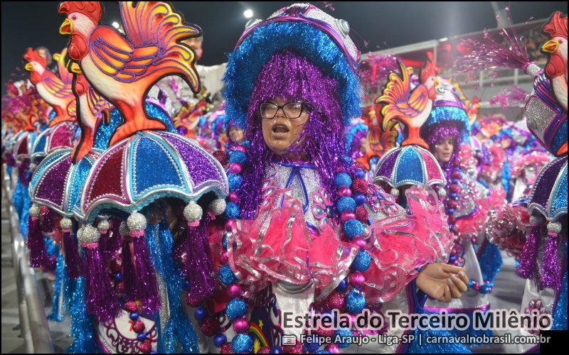 Desfile Estrela do Terceiro Milênio no Carnaval 2026 de São Paulo - carnavalnobrasil.com.br