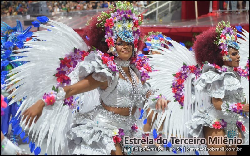 Desfile Estrela do Terceiro Milênio no Carnaval 2026 de São Paulo - carnavalnobrasil.com.br