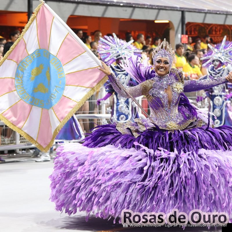 Desfile da Rosas de Ouro no Carnaval 2026 de São Paulo - carnavalnobrasil.com.br