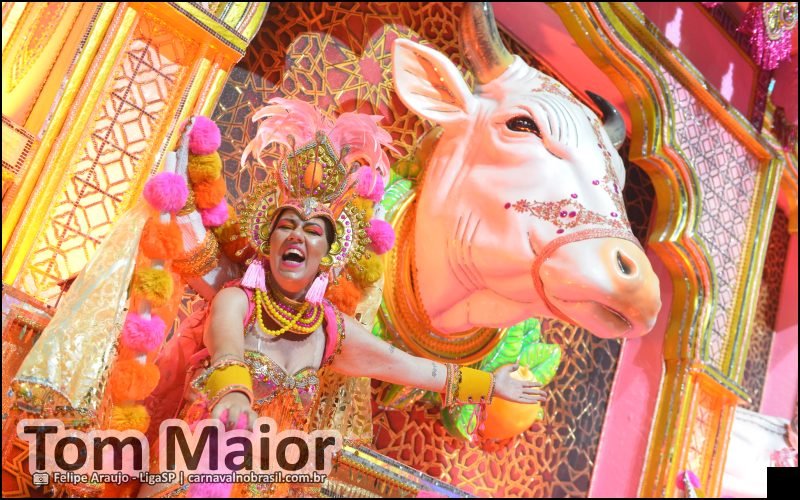 Desfile Tom Maior no Carnaval 2026 de São Paulo - carnavalnobrasil.com.br