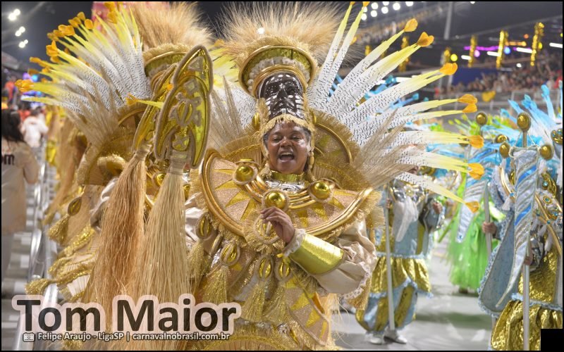 Desfile Tom Maior no Carnaval 2026 de São Paulo - carnavalnobrasil.com.br