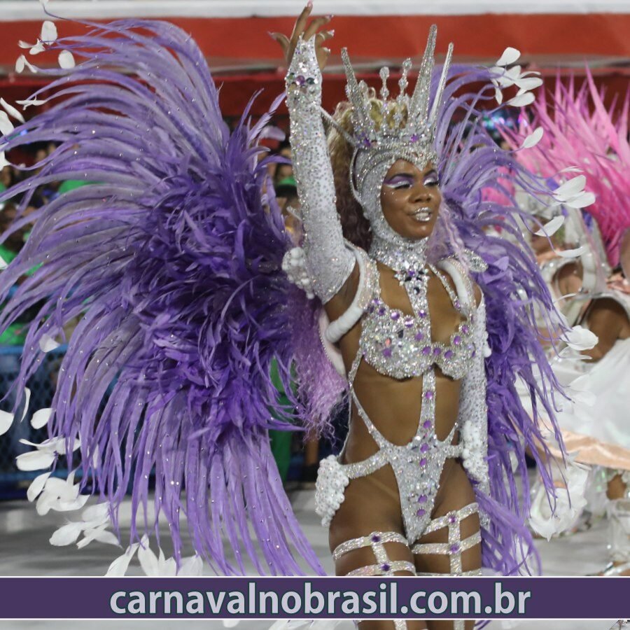 Desfile Acadêmicos do Cubango no Carnaval do Rio de Janeiro - Fotos : RioTur - Carnaval no Brasil