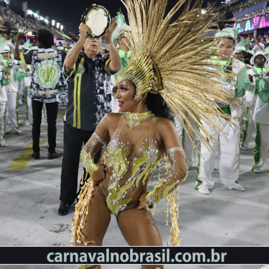 Desfile Império da Tijuca no Carnaval do Rio de Janeiro - Foto RioTur - carnavalnobrasil.com.br