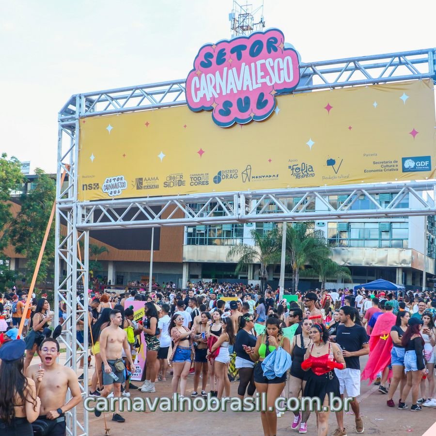 Brasília Carnaval 2023 - Bloco Divinas Tetas no Setor Carnavalesco Sul - Foto Renato Alves / Agência Brasília