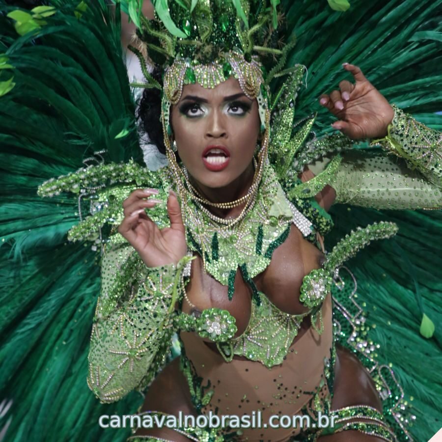 Desfile Imperatriz Leopoldinense no Carnaval 2023 do Rio de Janeiro  - Foto Tata Barreto | RioTur