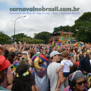 São Paulo Carnaval de Rua 2024 - carnavalnobrasil.com.br