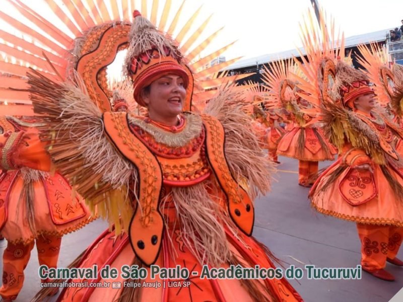 São Paulo Carnaval 2024 : desfile Acadêmicos do Tucuruvi no Sambódromo do Anhembi