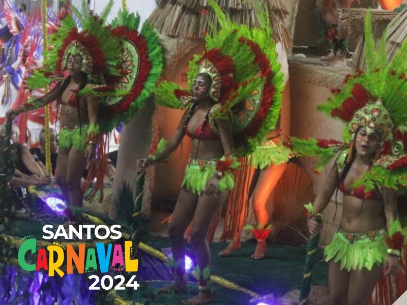 Desfile das Escolas de Samba no Carnaval 2024 de Santos