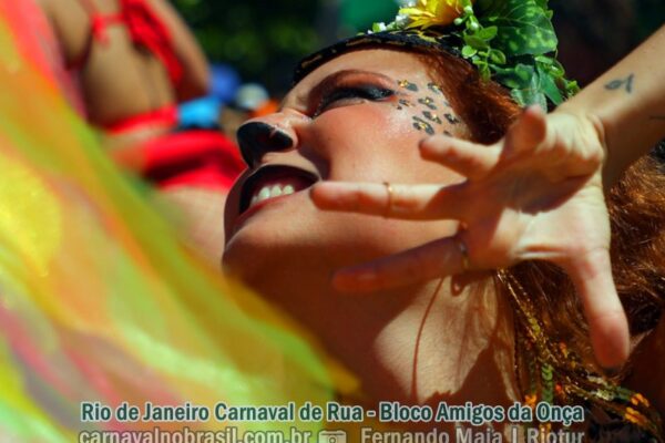 Rio de Janeiro Carnaval de Rua : fotos Amigos da Onça