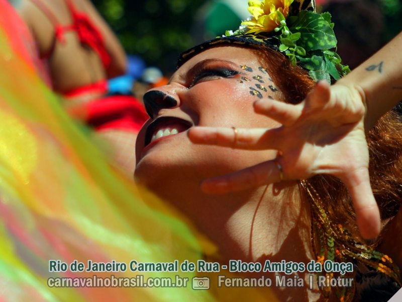 Rio de Janeiro Carnaval de Rua 2024 : fotos Bloco Amigos da Onça
