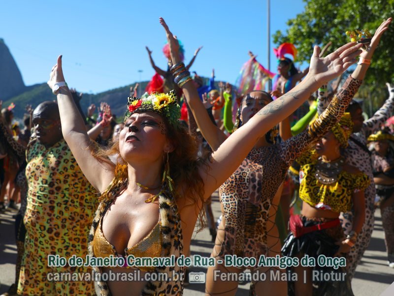 Rio de Janeiro Carnaval de Rua 2024 : fotos Amigos da Onça 