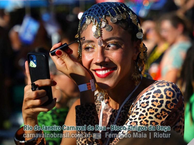 Rio de Janeiro Carnaval de Rua 2024 : fotos Bloco Amigos da Onça