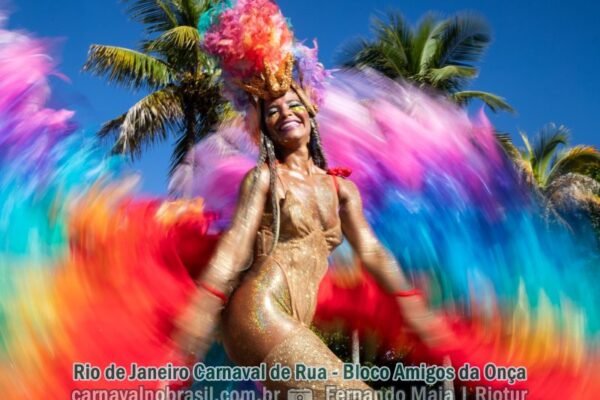 Rio de Janeiro Carnaval de Rua 2024 : fotos Amigos da Onça