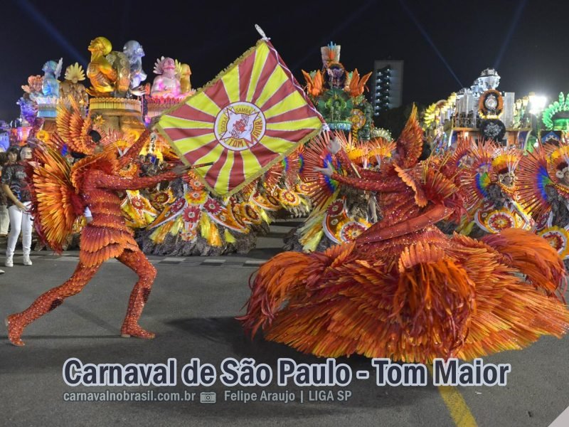 São Paulo Carnaval 2024 : desfile Tom Maior no Sambódromo do Anhembi