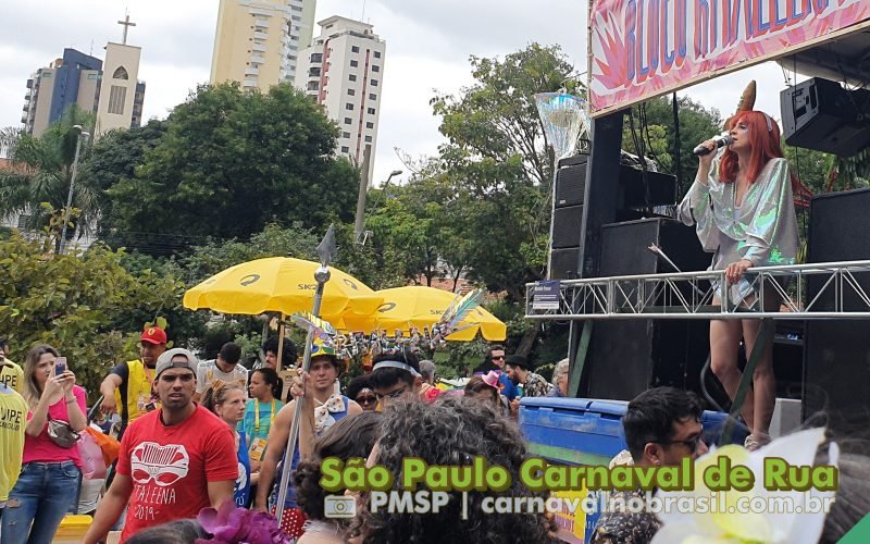 São Paulo Carnaval de Rua 2025 : Prefeitura apoiará 100 blocos carnavalesco