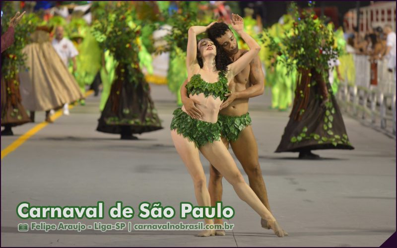 Carnaval de São Paulo - Raízes do Samba