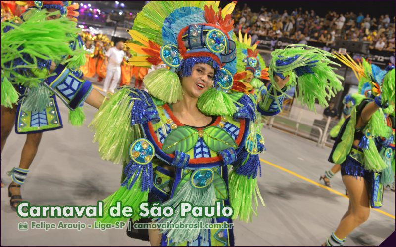 Carnaval de São Paulo - Raízes do Samba