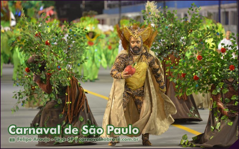 Carnaval de São Paulo - Raízes do Samba