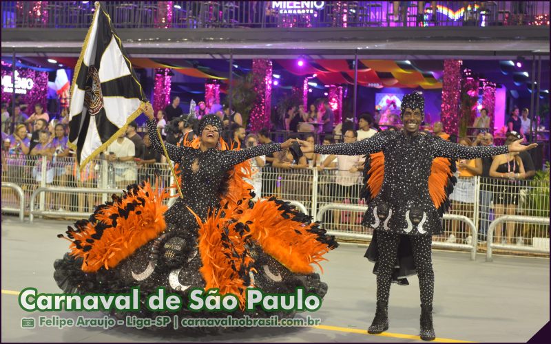 Carnaval de São Paulo - Raízes do Samba