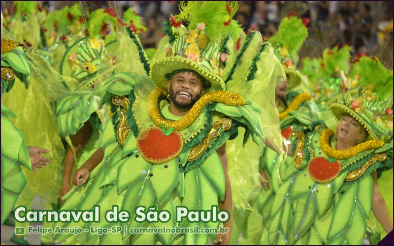 Carnaval de São Paulo - Raízes do Samba