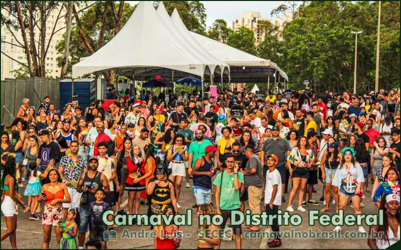 DF Folia 2026 : programação de pré-carnaval e lista dos blocos cadastrados