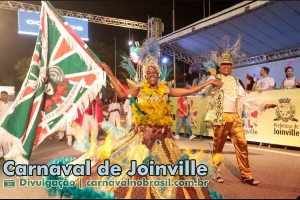 Sortimento Carnaval no Brasil . Joinville Carnaval 2025 em Santa Catarina