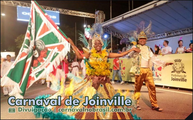 Sortimento Carnaval no Brasil . Joinville Carnaval 2025 em Santa Catarina