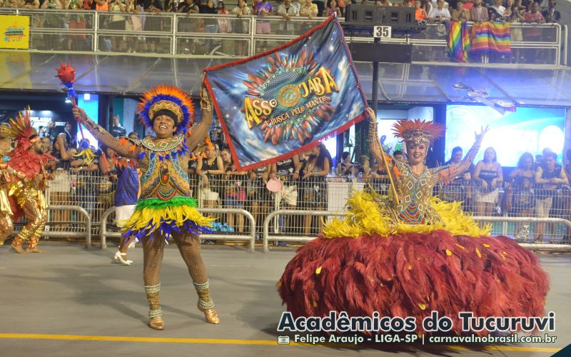 Desfile Acadêmicos do Tucuruvi no Carnaval 2025 de São Paulo - carnavalnobrasil.com.br