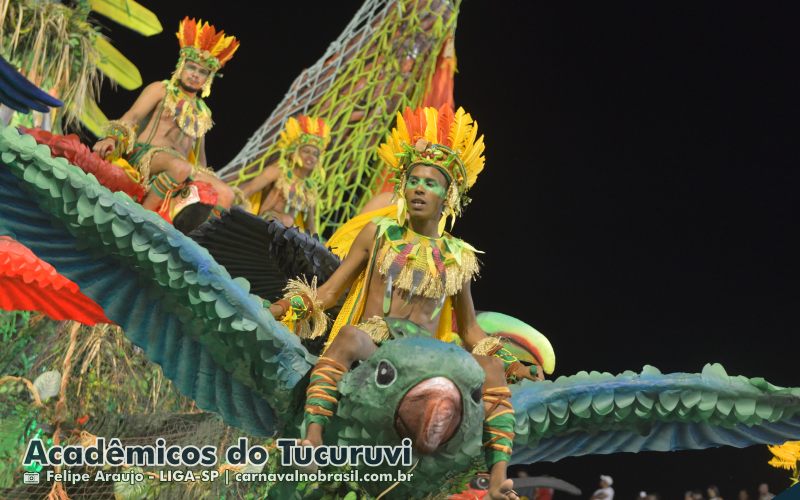 Desfile Acadêmicos do Tucuruvi no Carnaval 2025 de São Paulo - carnavalnobrasil.com.br