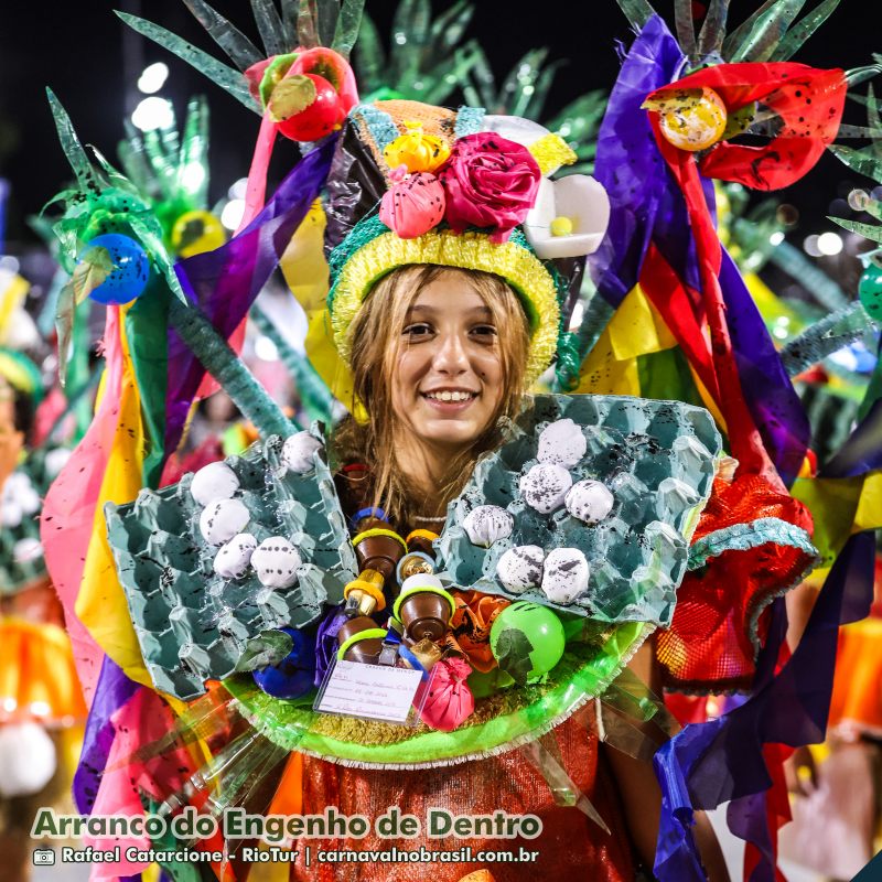 Desfile Arranco do Engenho de Dentro no Carnaval 2025 do Rio de Janeiro