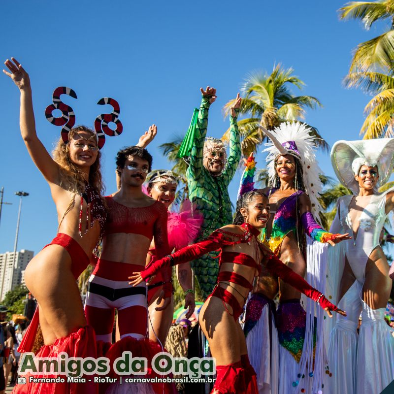 Bloco Amigos da Onça no Carnaval de Rua 2025 do Rio de Janeiro