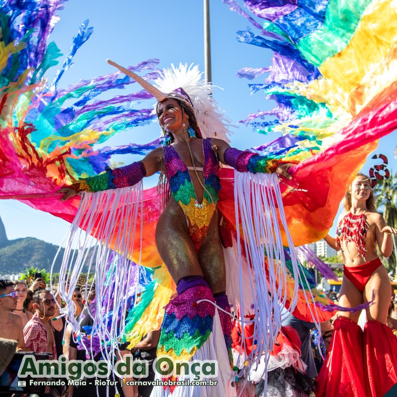 Bloco Amigos da Onça no Carnaval de Rua 2025 do Rio de Janeiro