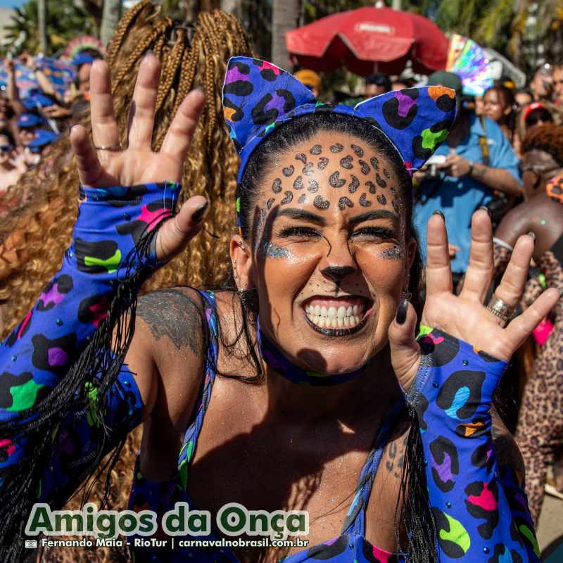 Bloco Amigos da Onça no Carnaval de Rua 2025 do Rio de Janeiro