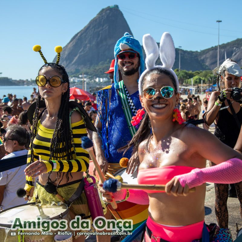 Bloco Amigos da Onça no Carnaval de Rua 2025 do Rio de Janeiro