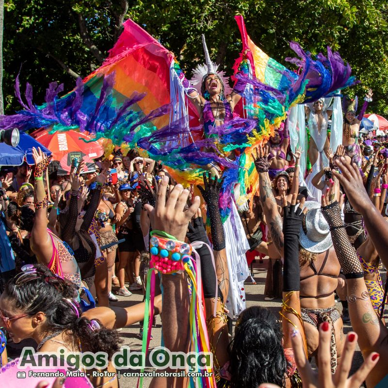 Bloco Amigos da Onça no Carnaval de Rua 2025 do Rio de Janeiro