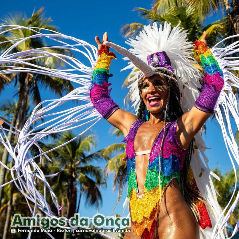 Bloco Amigos da Onça no Carnaval de Rua 2025 do Rio de Janeiro